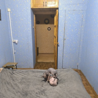 Объявление 3-к квартира, 50м2, 5/5 эт