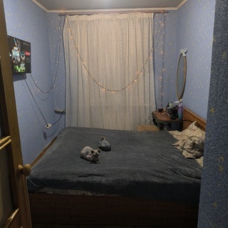 Объявление 3-к квартира, 50м2, 5/5 эт