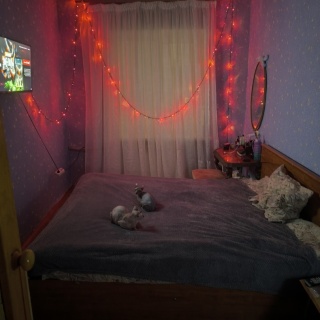 Объявление 3-к квартира, 50м2, 5/5 эт